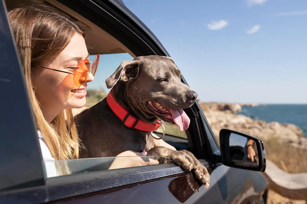 viajar con perros